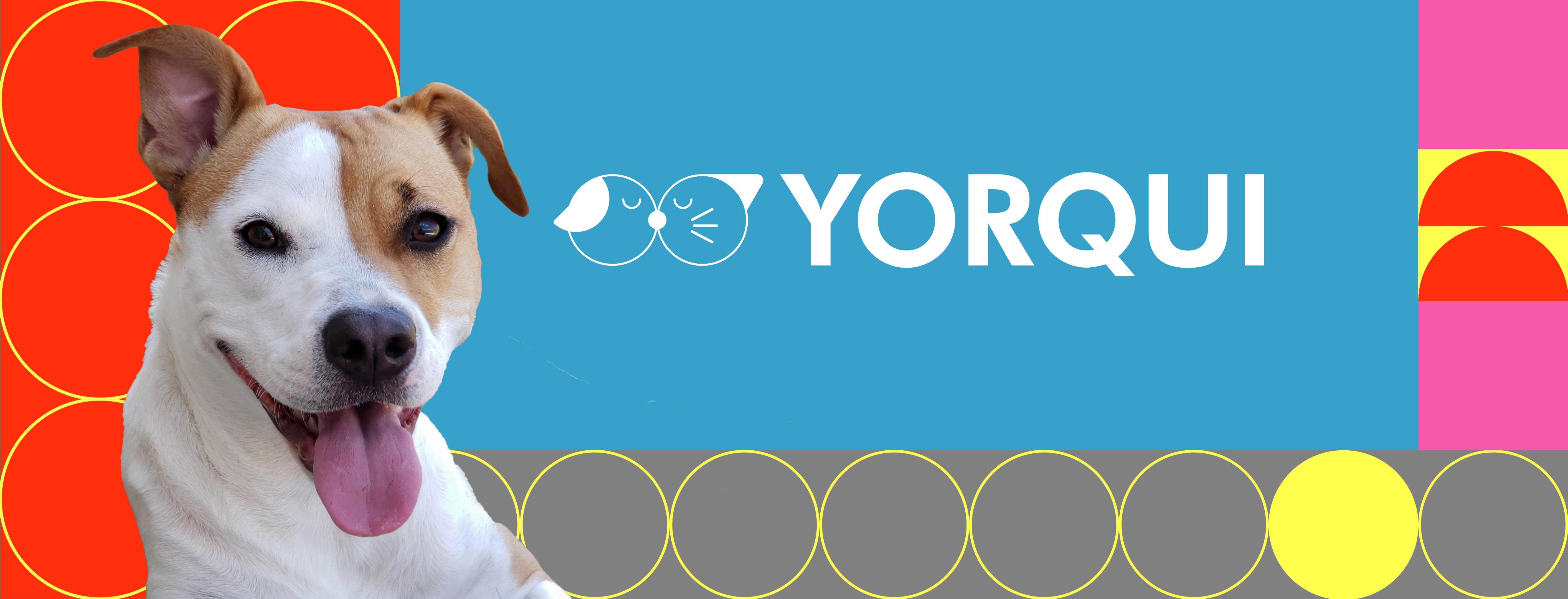 Yorqui - Banner web-01