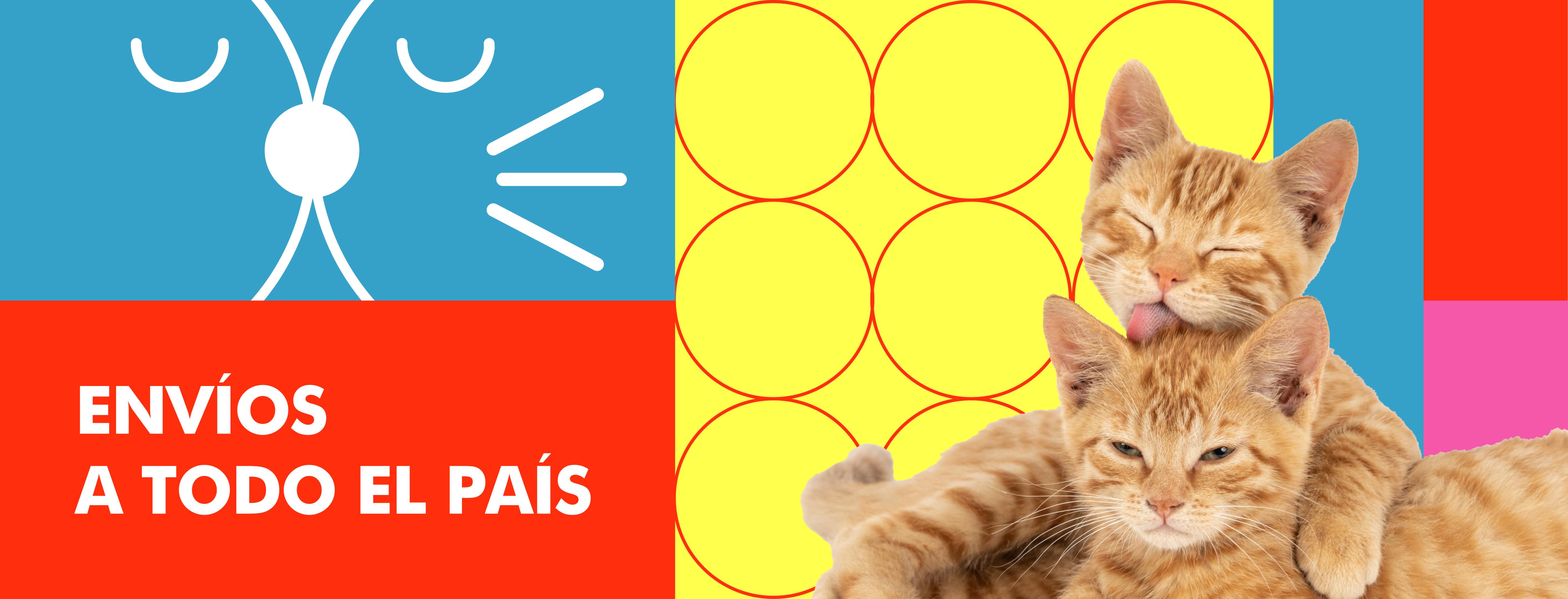 Yorqui - Banner web-03